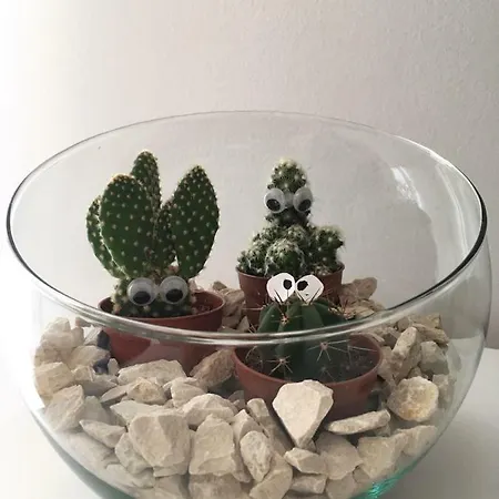 Sun&sea Apartamento *